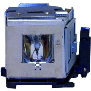 base_image_label-300612-OI61890