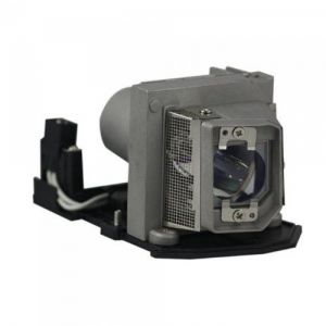 base_image_label-300666-OI63969