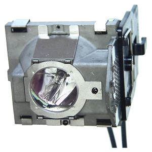 BENQ SP920P (Lamp 1) Original Inside Projector Lamp - Replaces 5J.J2D05.001