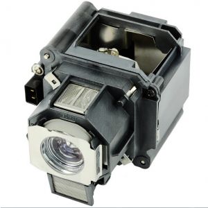 base_image_label-300975-OI61826