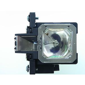 base_image_label-100989-62196