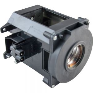 base_image_label-301026-OI61974