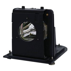 OPTOMA H79 Original Inside Projector Lamp - Replaces BL-FU250F / SP.L3703.001 / SP.L1301.001