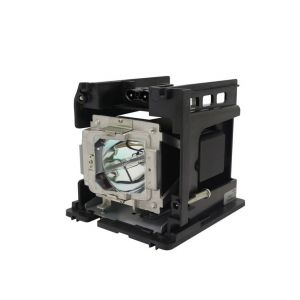 base_image_label-302708-OI66996